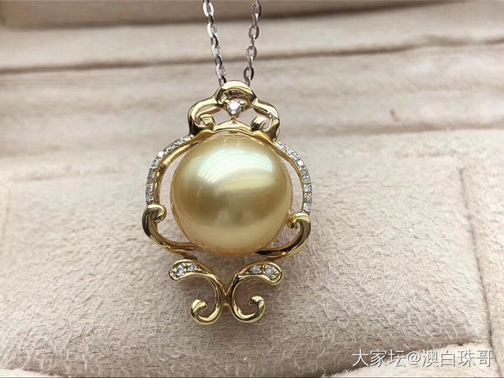 发个贴给各位普及一下金珠_海水珍珠