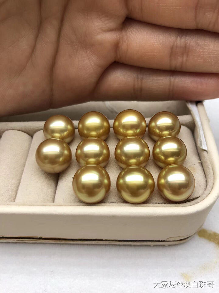 发个贴给各位普及一下金珠_海水珍珠