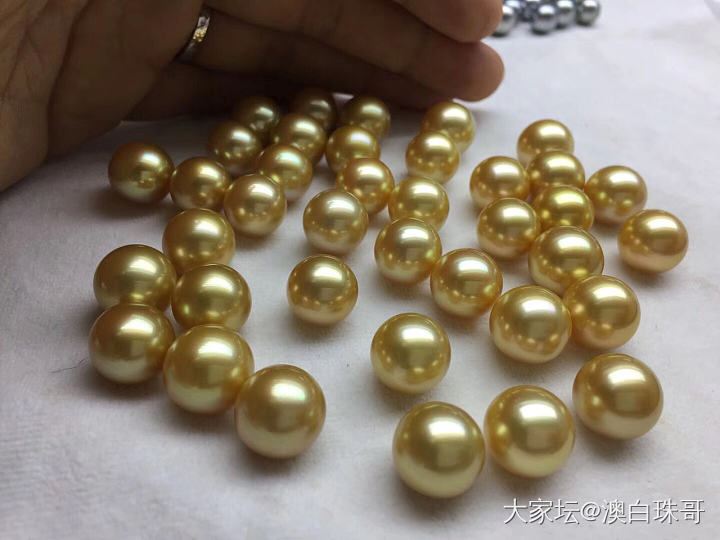 发个贴给各位普及一下金珠_海水珍珠