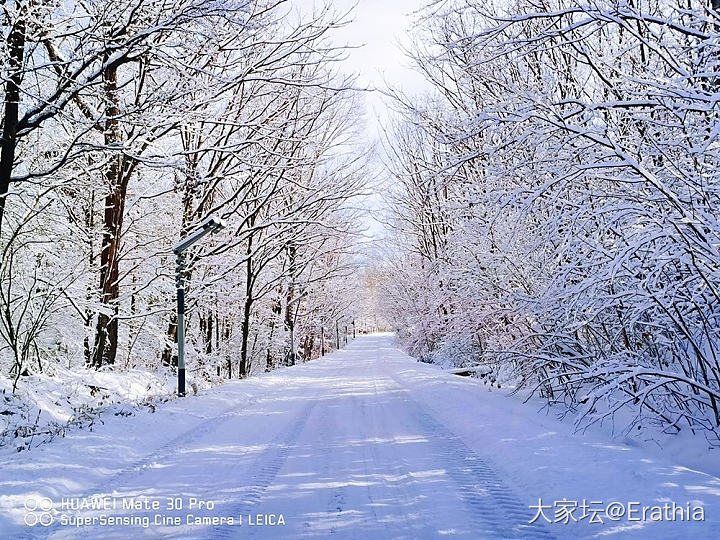 遇上大雪_景色