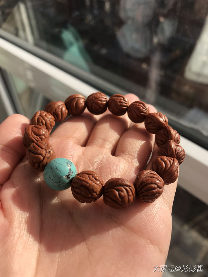 随便晒晒，距上次发秀贴有半年啦🧸_核桃