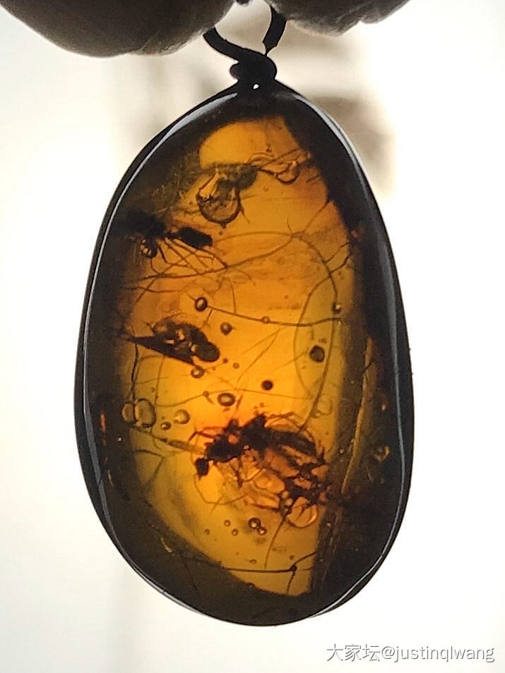 虫珀虫珀_吊坠虫珀