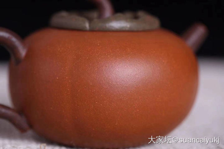 陈祖桥老师的《柿柿如意》，超逼真_茶道