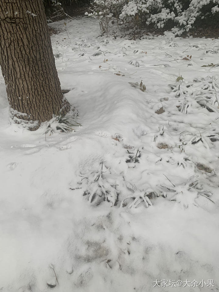 晒晒新欢冰飘花“冰雪蓝莲”_手镯翡翠