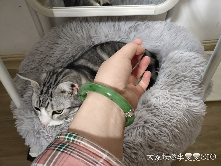 猕猴桃甜甜圈🍩_手镯碧玉