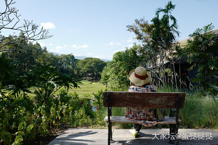 life in Chiengmai_泰国旅游美食