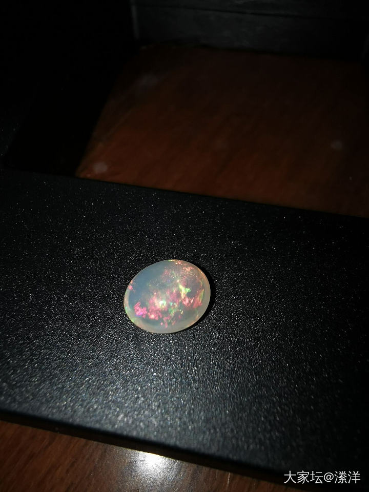 这星期入的欧泊_欧泊