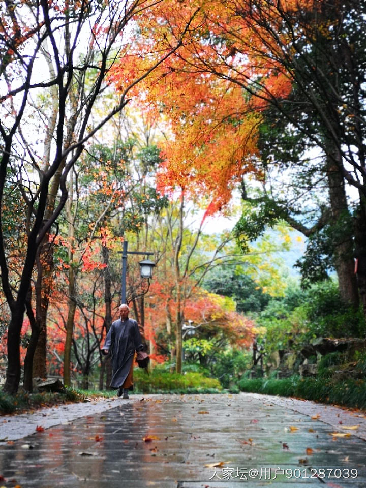 深秋的杭州来体验下_杭州景色旅游