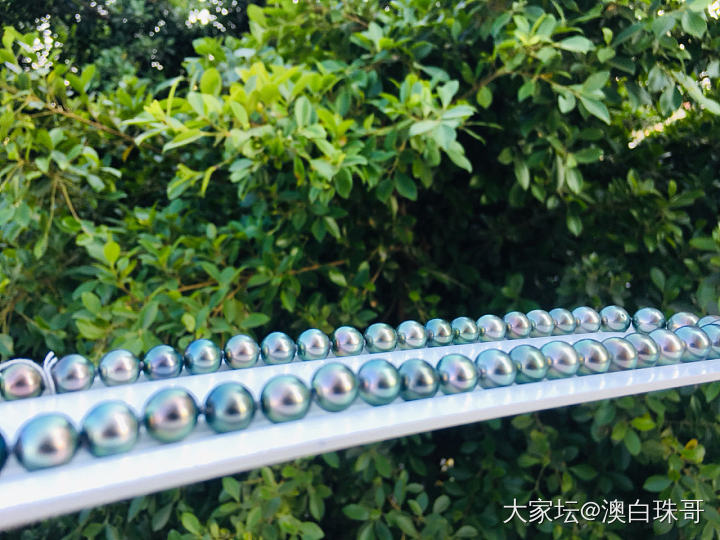大溪地孔雀绿项链_海水珍珠