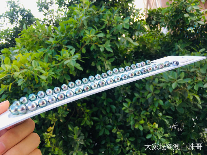 大溪地孔雀绿项链_海水珍珠