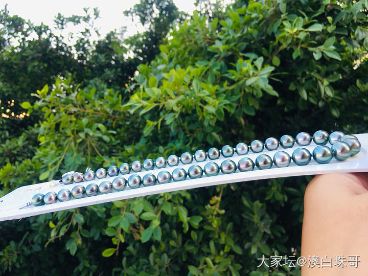 大溪地孔雀绿项链_海水珍珠
