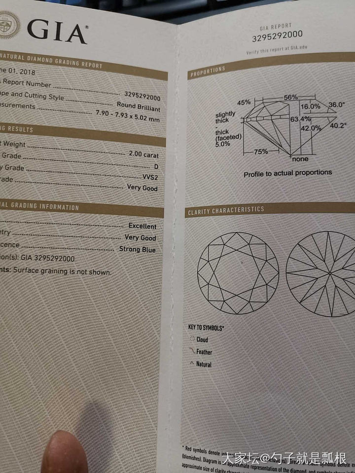 闲鱼上的套牌证书_机构证书钻石