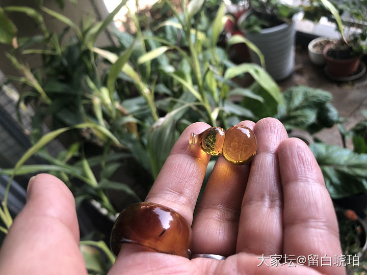 风格迥异的两个葫芦_琥珀