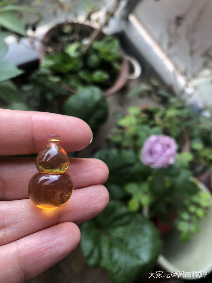 风格迥异的两个葫芦_琥珀