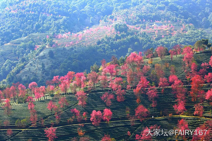 国内除了三亚有没有比较暖和并且适合5天内短途旅行的地方_旅游