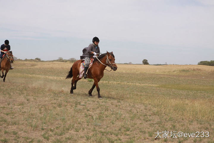 有同好吗？野骑（瞎骑）_运动