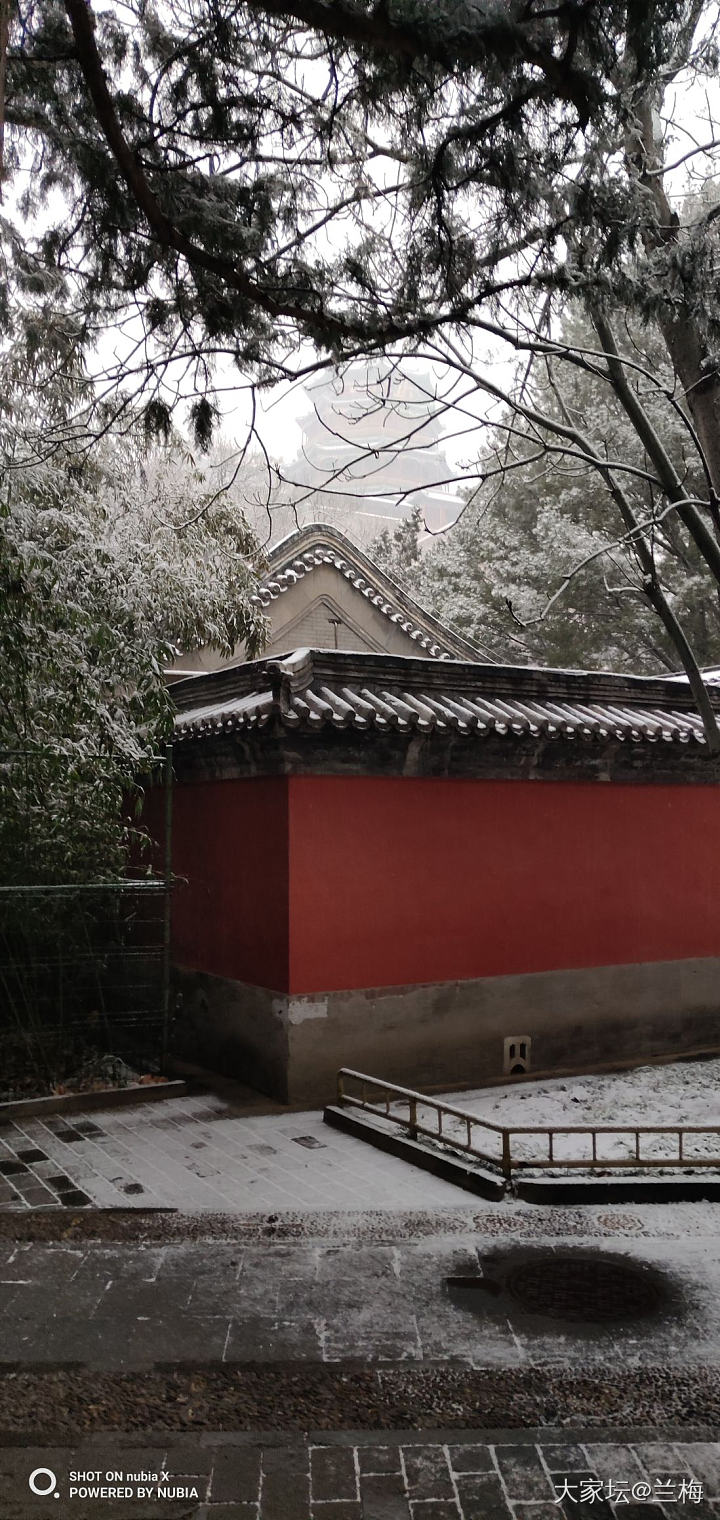 北平的雪和凤眼_南红珠串菩提子