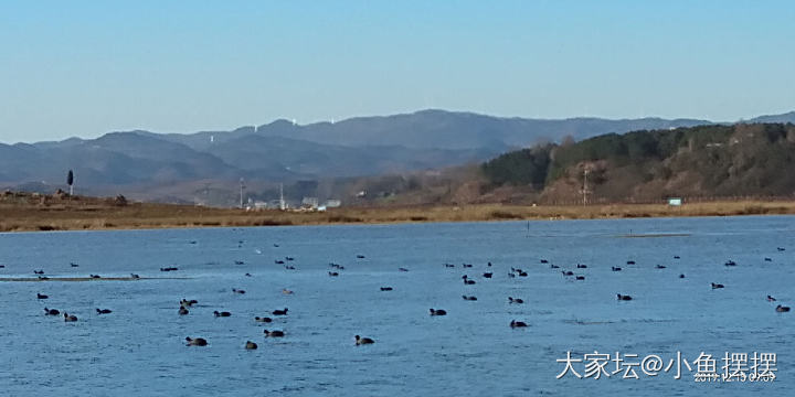 求助，贵州的坛友看过来_贵州旅游