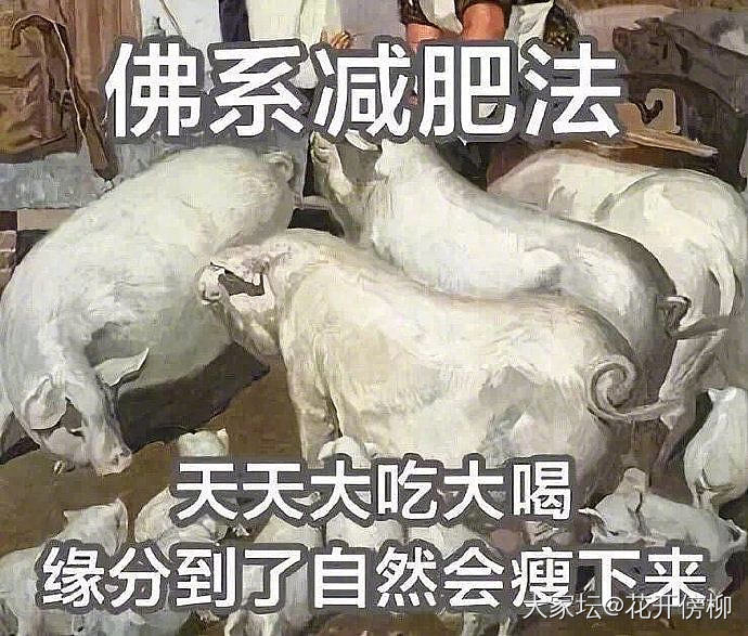 减肥计划  一个月5斤_减肥