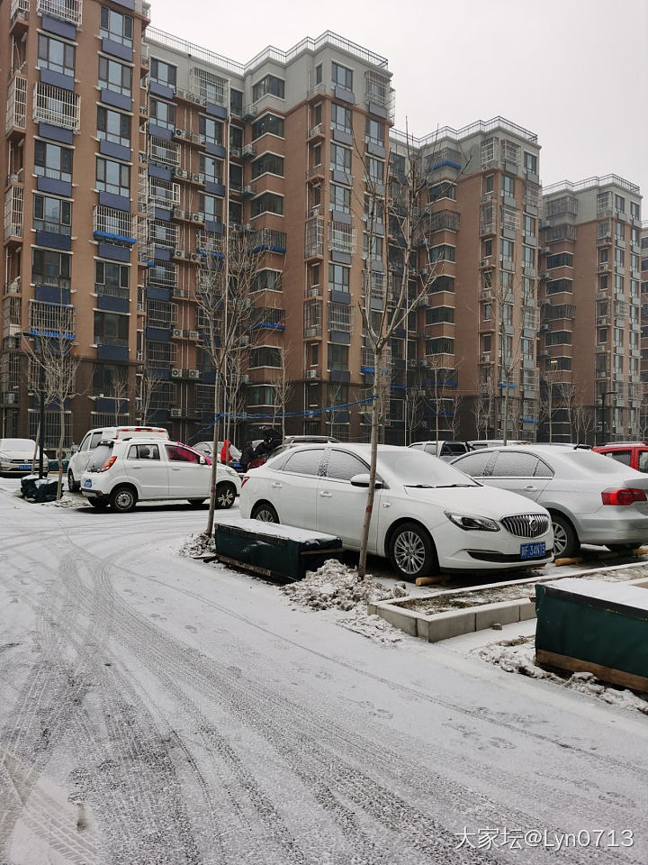 北京第三场雪_闲聊