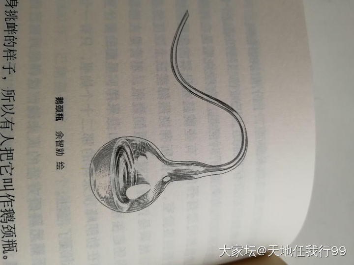 阿胶为什么放不坏？_补品