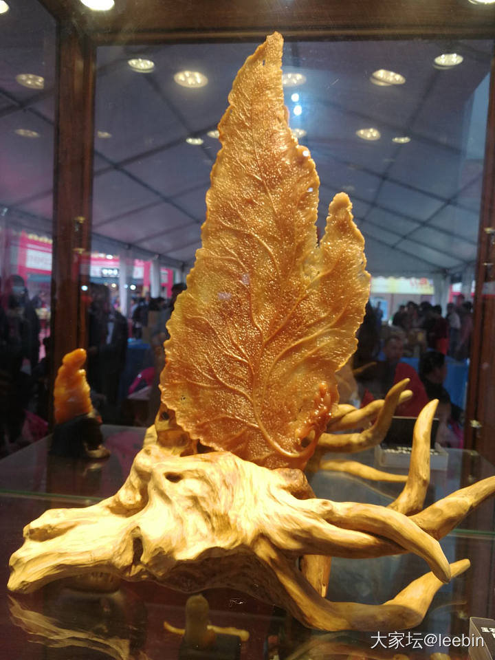 什么音乐🎵美食节呀，东西超级难吃，又贵_玉石动物标本