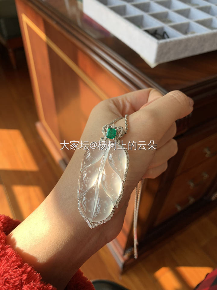 阳光照进窗来 化成暖暖的爱_翡翠