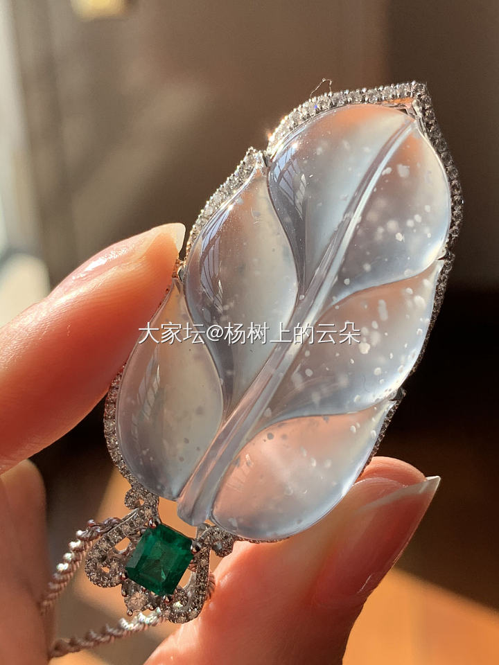阳光照进窗来 化成暖暖的爱_翡翠
