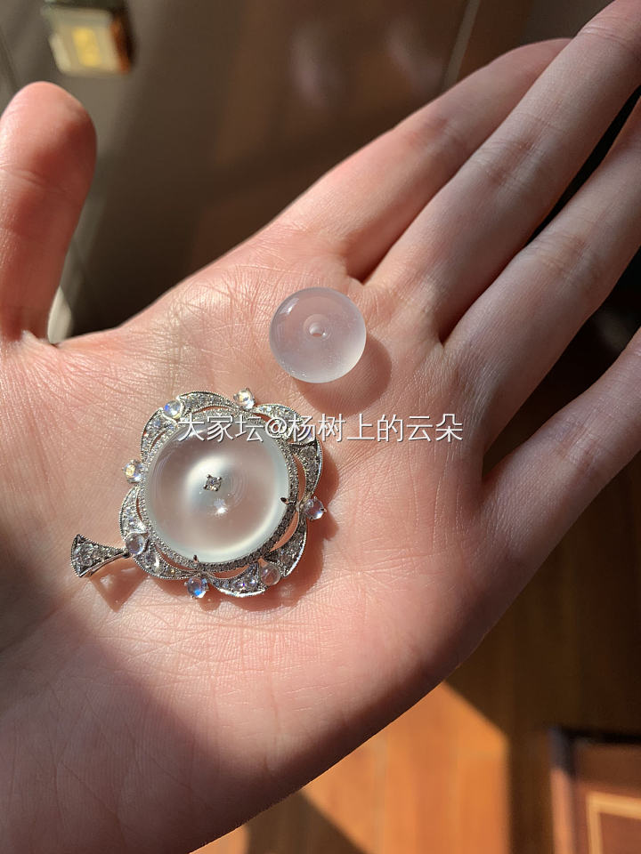 阳光照进窗来 化成暖暖的爱_翡翠