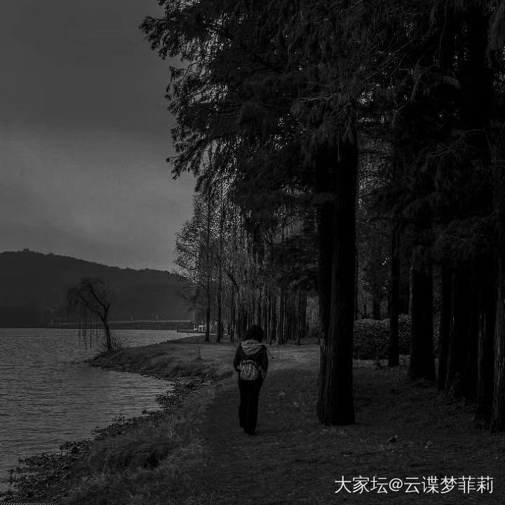 冬至-冷风景_摄影