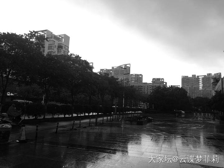 【雨】_摄影