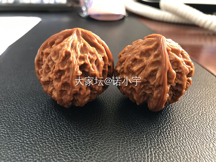 新人入坑记录_核桃