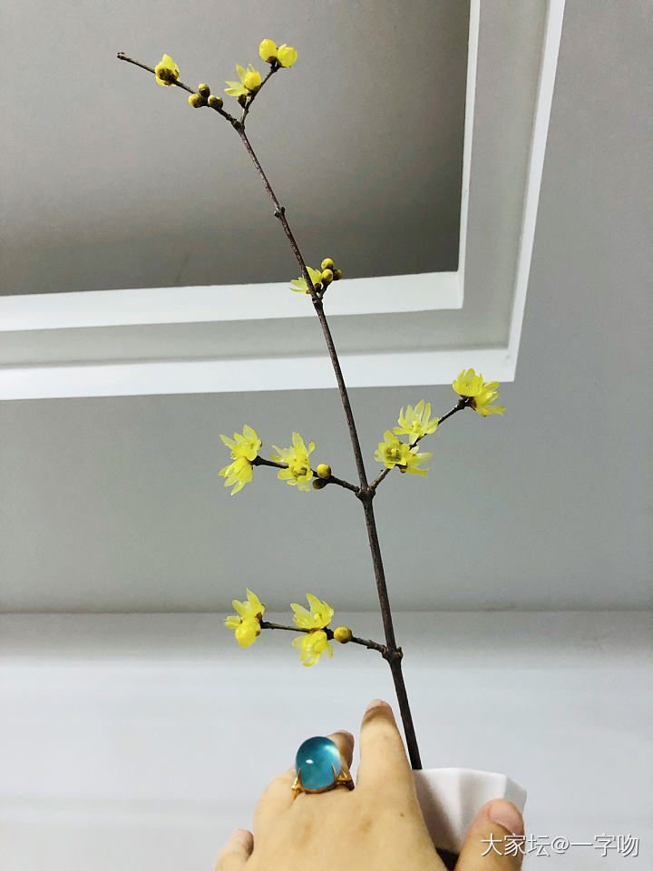 我的蓝湛回来了_海蓝宝