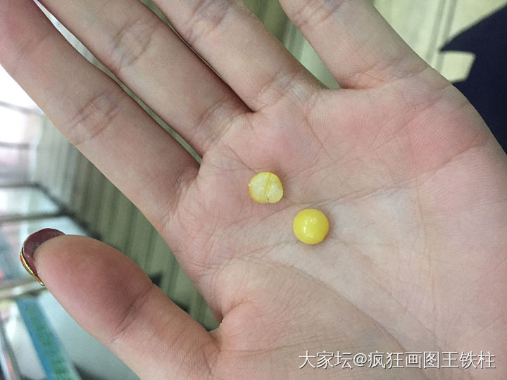 今天去穿绳然后悲剧了……_菩提子