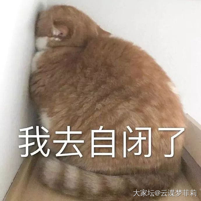 【毛孩子们】喵呜(๑´ω`๑)_生活猫