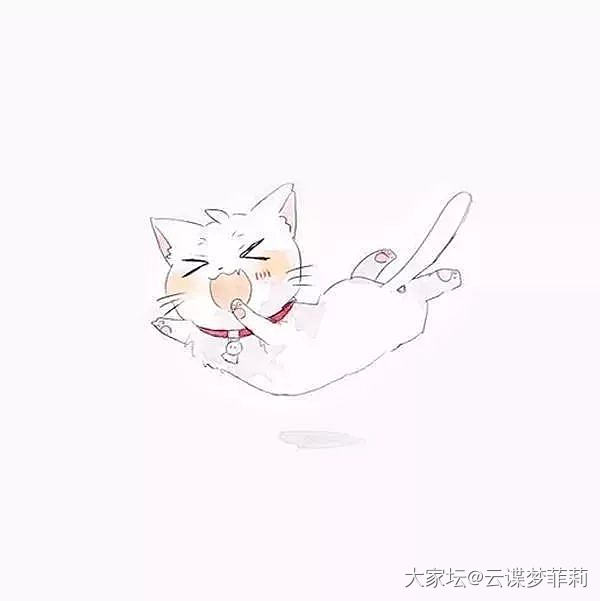 【毛孩子们】喵呜(๑´ω`๑)_生活猫