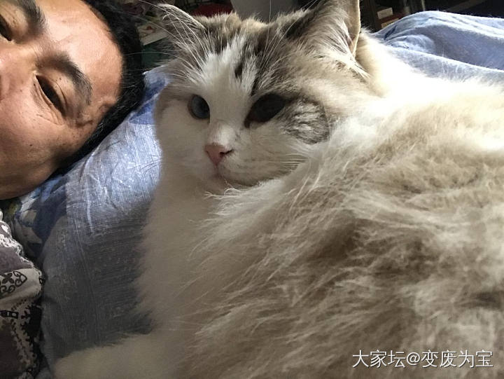 附近已有确诊病例，只有继续家里蹲，陪陪老虎🐯_猫