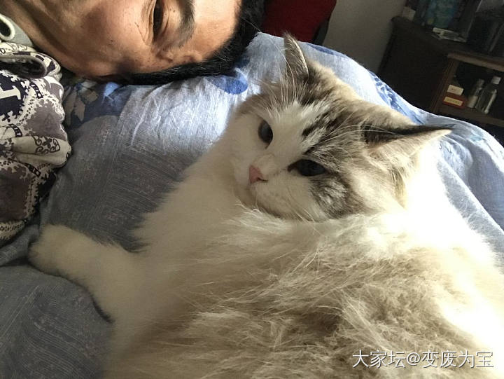 附近已有确诊病例，只有继续家里蹲，陪陪老虎🐯_猫