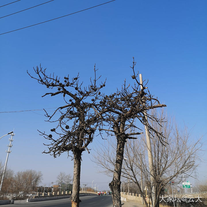 天气不错！_景色闲聊