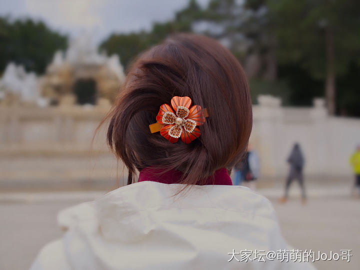 闲鱼上看到一个发夹好贵但是好喜欢_发夹