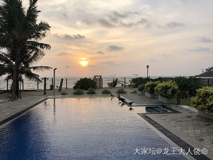 从山上回到海边赶宝石大集市。同一酒店遇见斯里兰卡穆斯林结婚，可惜没拍到新郎新娘，..._集散地