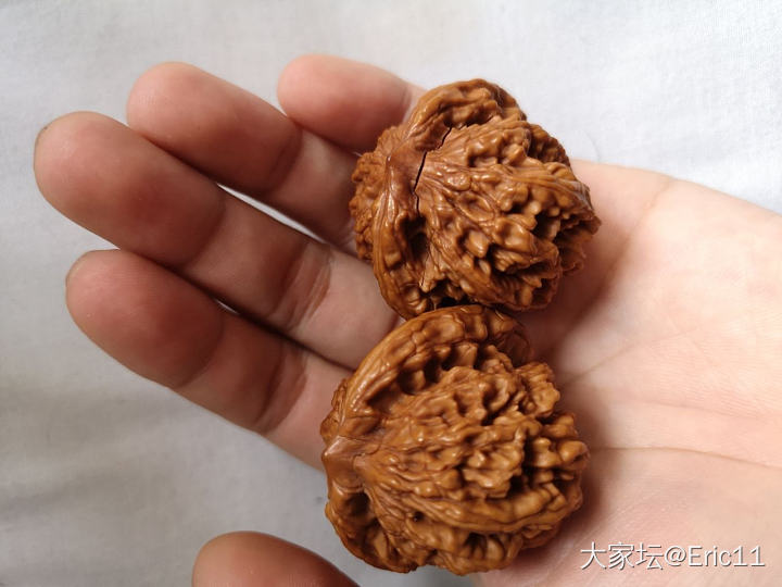 核桃 裂啦！核桃 裂了裂啦！核桃 裂啦！核桃裂啦！_核桃
