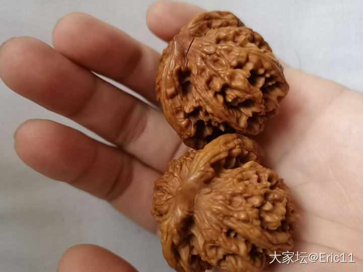 核桃 裂啦！核桃 裂了裂啦！核桃 裂啦！核桃裂啦！_核桃