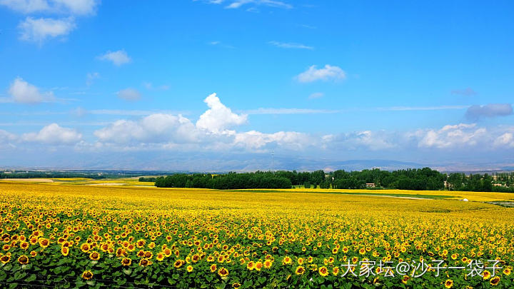 在家久了，好想早点出去看看您的绝世美颜。_景色