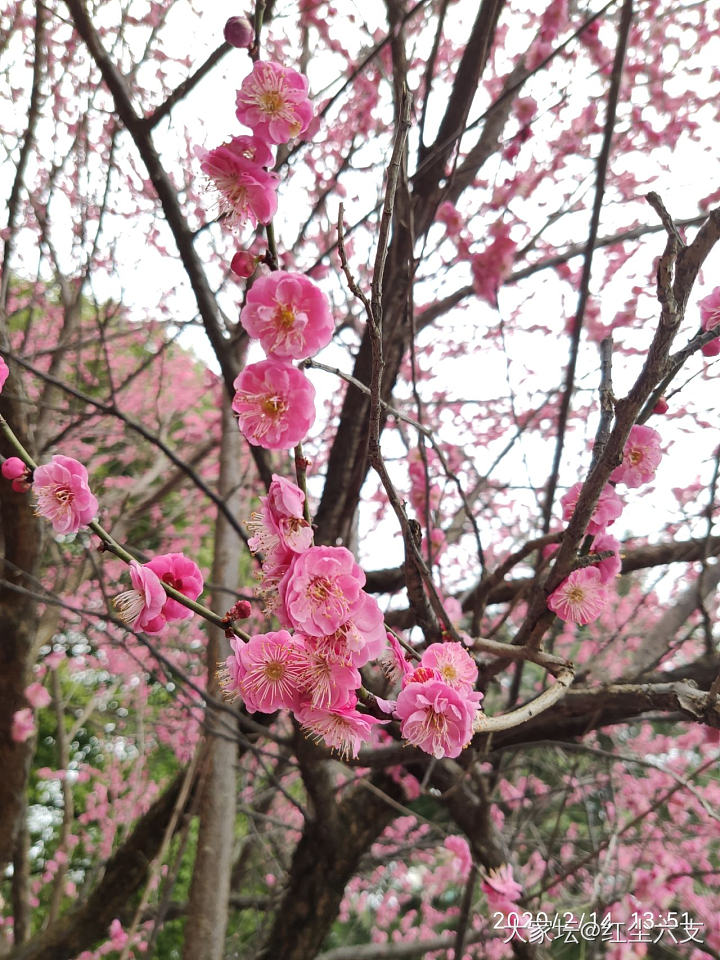 花痴没办法_花