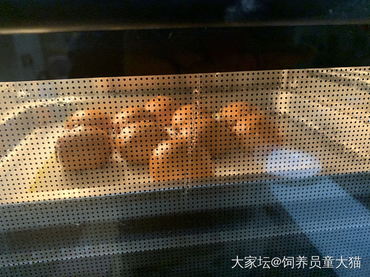 继续玩面粉_美食