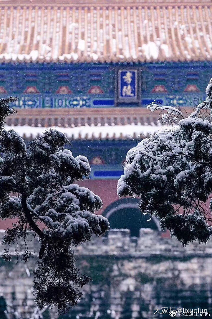 金陵昨夜一场雪，外面超级美，可惜只能通过图片欣赏_南京景色