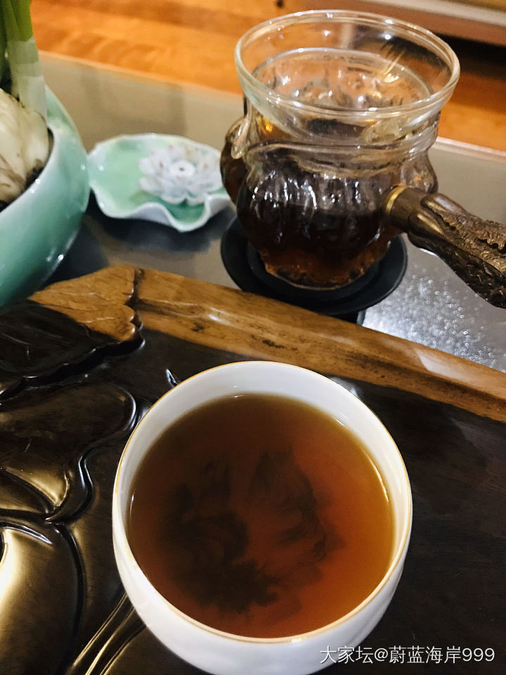 这就是俗称“马肉”的_茶叶