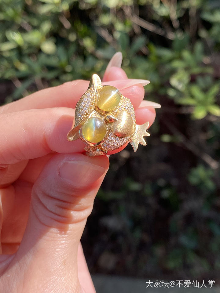 灭霸孵太阳🌞_戒指彩色宝石