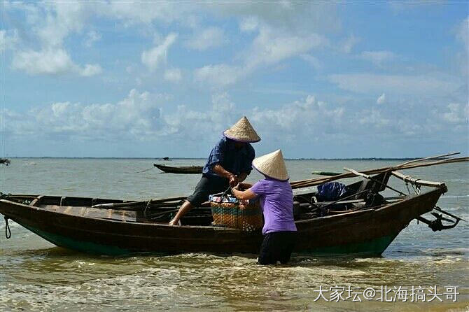 小鱼村的那片海，从小就是吃海鲜长大的。_闲聊